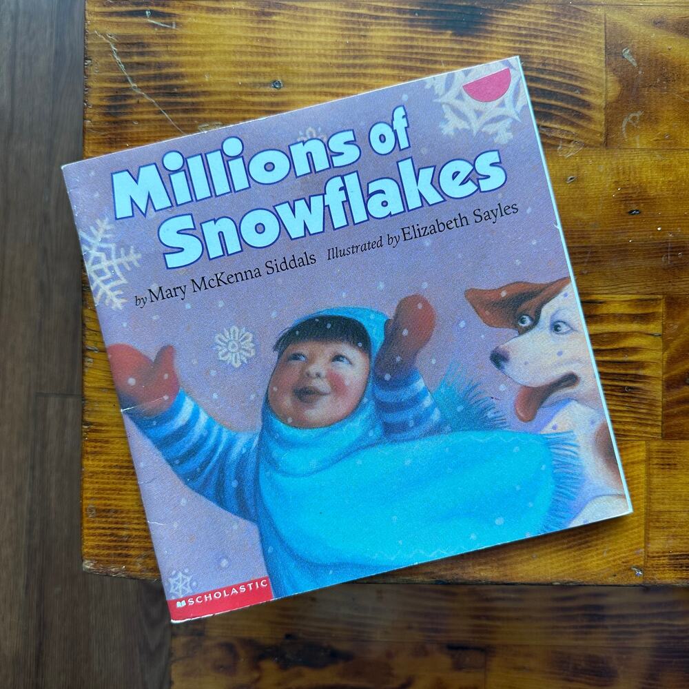 Vintage 1998 Millions Of Snowflakes Paperback Book